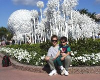 florida16.jpg (16382 bytes)